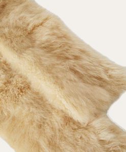 Tonyeberly.shop8c74486640 1